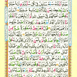 Quran Chapter 3 In Images, Read Quran Learn Quran Online